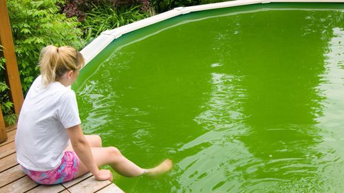 бассейн с зелёной водой