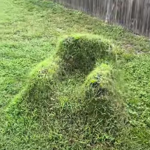 травяное кресло в саду
