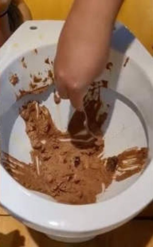 шоколадное мороженое в унитазах