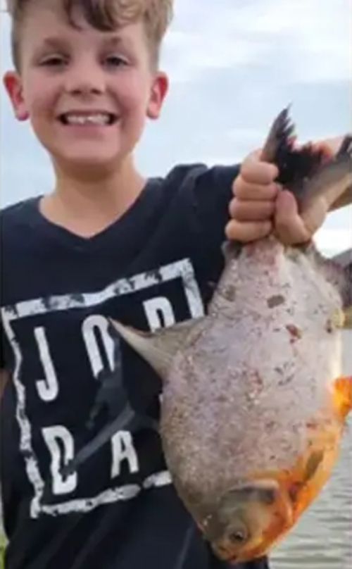 мальчик поймал в пруду рыбу
