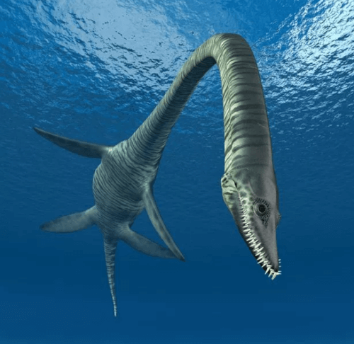 труп динозавра выкинули в океан