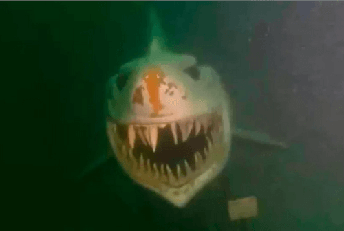 скульптура акулы под водой 