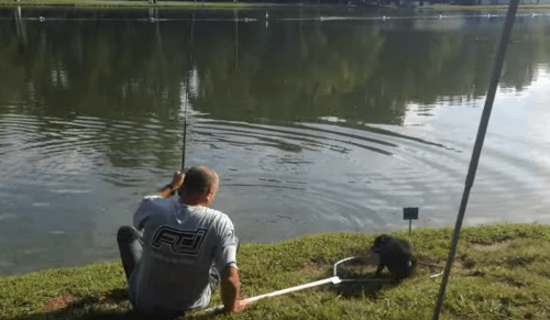 рыбак поймал сачком собаку