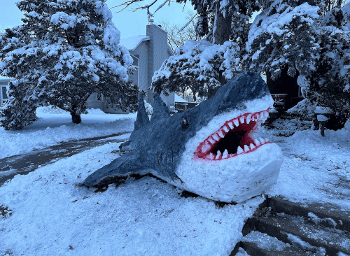 снежная скульптура акулы 