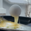 морозная скульптура из яйца 