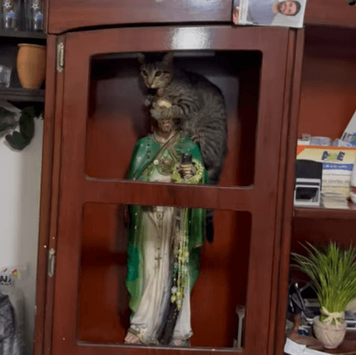 кошка на скульптуре святого