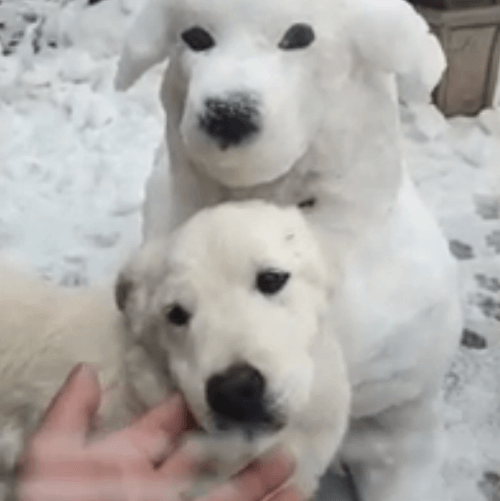 снеговик похожий на собаку
