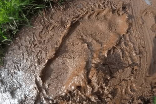 отпечатки ног на грязной тропе