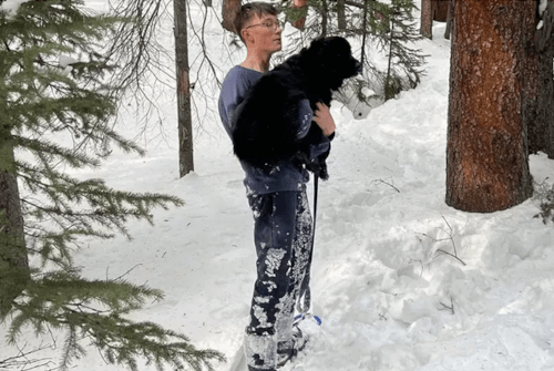 собака десять дней сидела в снегу