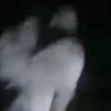 женщина-призрак в ночном лесу
