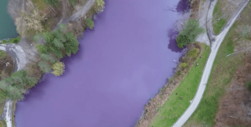 озеро фиолетового цвета