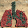 изображение человеческих лёгких