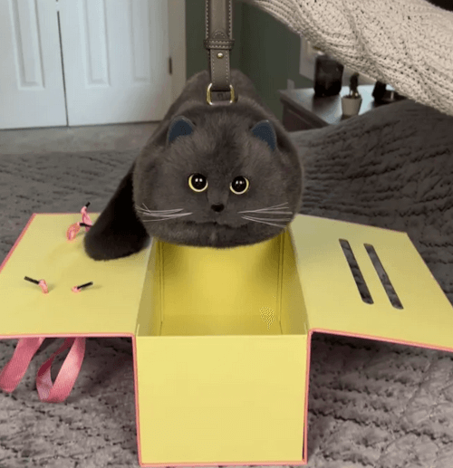 сумочки в виде кошек