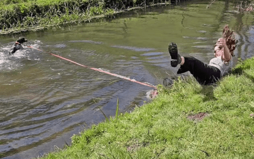 пёс утащил хозяйку в реку