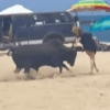 бык напал на пляже на туристку