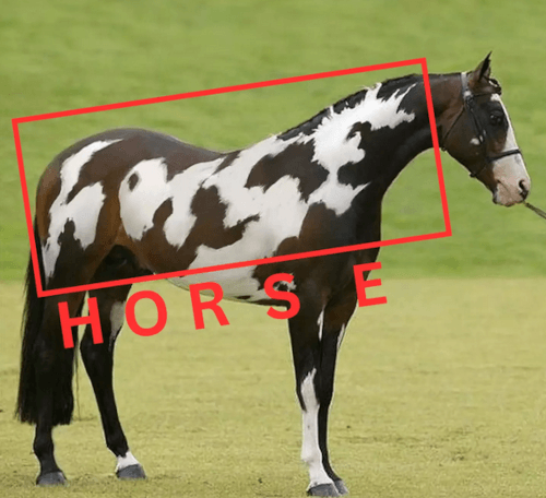 спрятанная лошадь на фотографии
