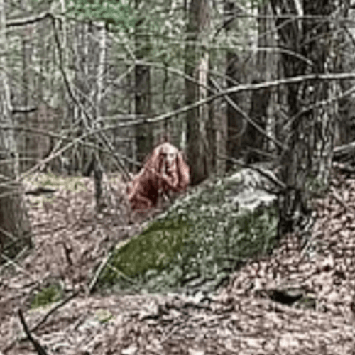 пугающий персонаж на фото