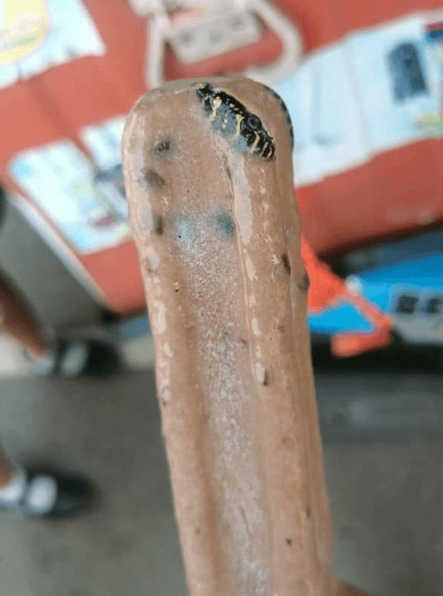 змея во фруктовом мороженом
