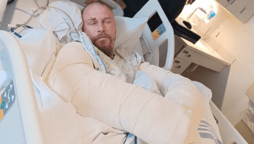 владелец задушил собаку