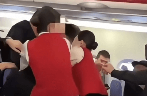 хулиганка укусила стюардессу 