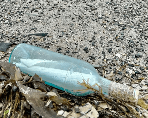 бутылку бросили в воду в канаде