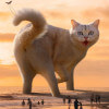 мир гигантских кошек