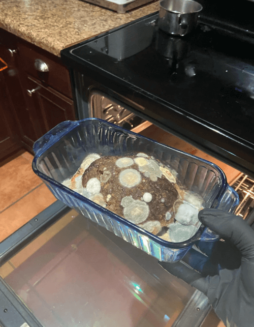 забытый мясной рулет