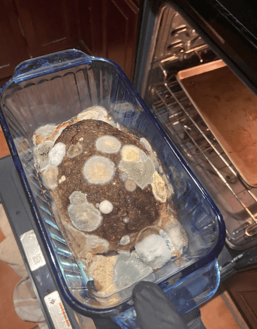 забытый мясной рулет