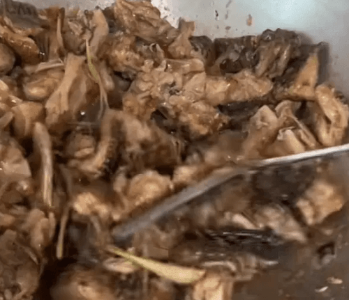 угостили мясом варана