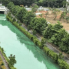 зелёная и синяя вода в канале