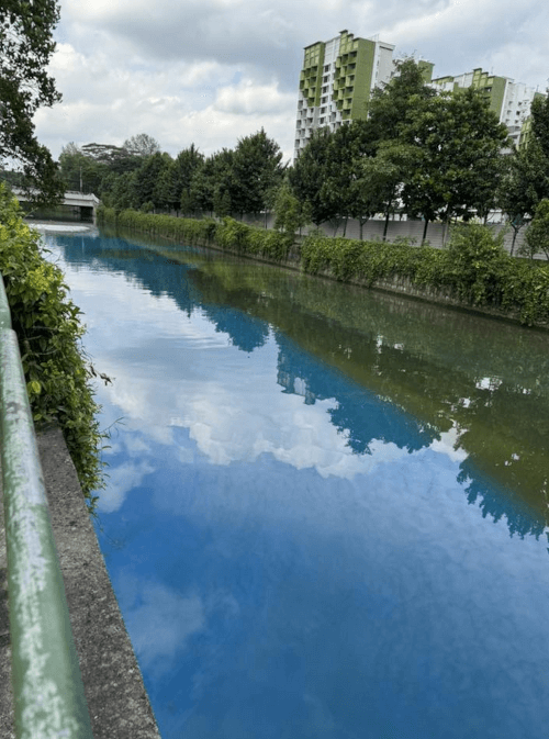 зелёная и синяя вода в канале
