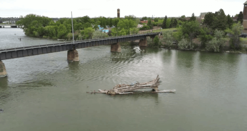 три велосипеда на бревне