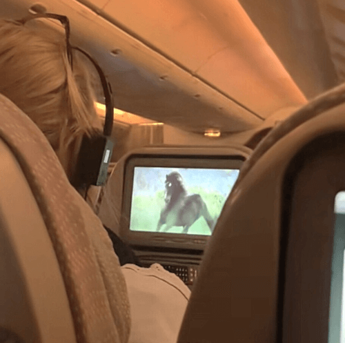 три часа смотрела видео с лошадьми