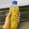 суп с лапшой в бутылке