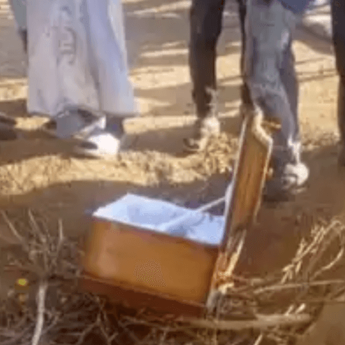 гробик с окровавленной запиской