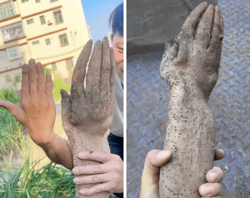 батат похож на человеческую руку
