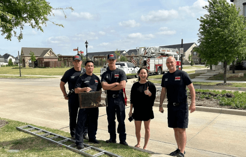 спасение маленьких утят 