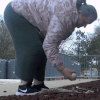 украла яйца из гусиного гнезда 