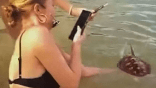 туристы поймали морскую черепаху 