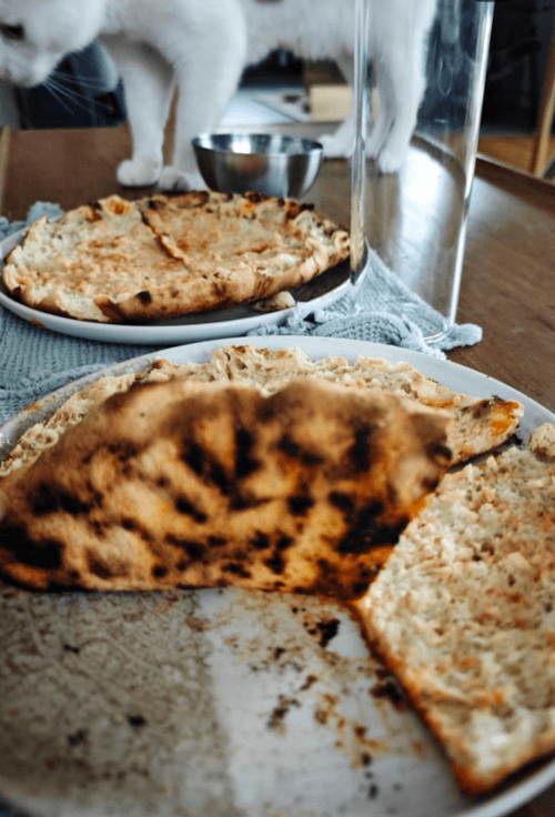 кошка помогала готовить пиццу