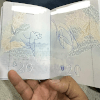 рисунки динозавров в паспорте