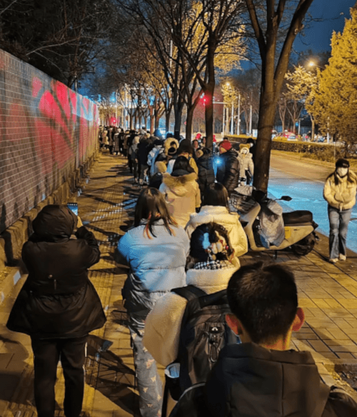 утиные ножки вместо гусиных