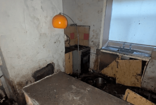 реанимация немецкой овчарки