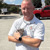 котёнок забрался под автомобиль 