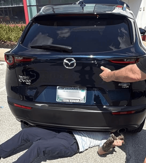 котёнок забрался под автомобиль
