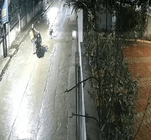 леопард набросился на курьера