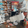 олень в антикварном магазине 