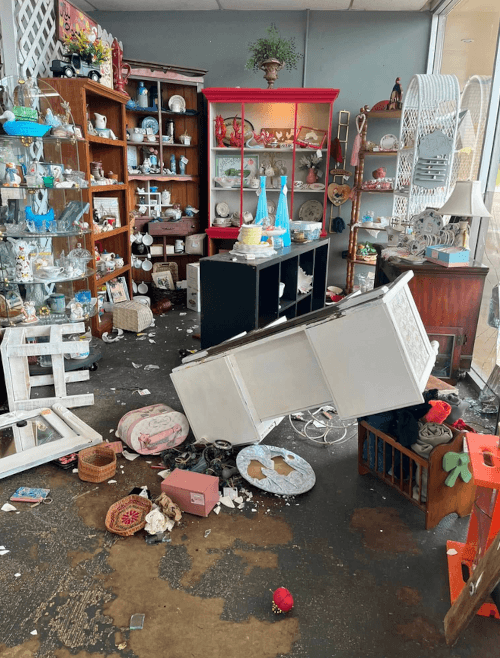 олень в антикварном магазине