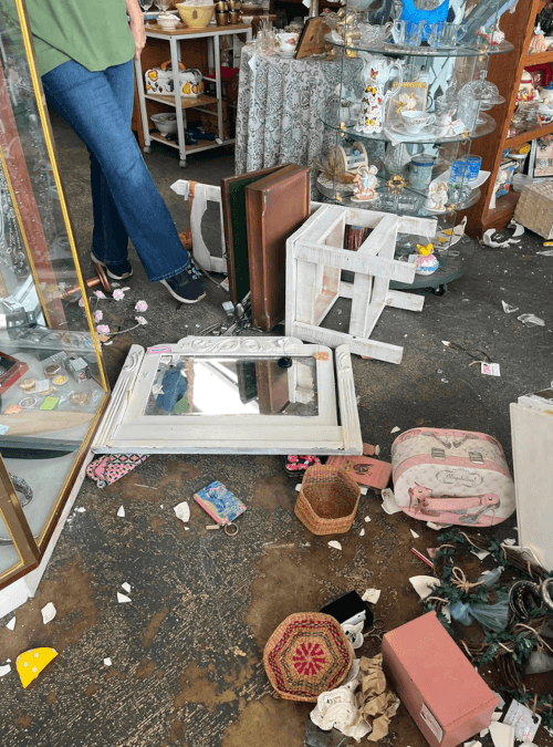 олень в антикварном магазине