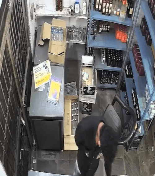 леопард пришёл в магазин